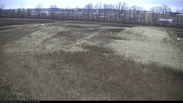 Cell 3_23-12-29_16-05-29-84