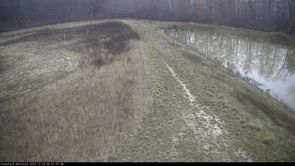 Cell 4 to Basin_23-12-29_08-51-07-65