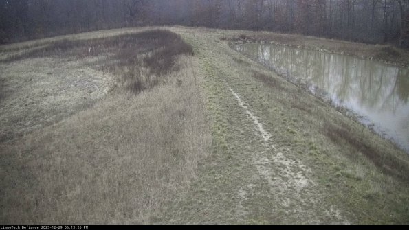 Cell 4 to Basin_23-12-29_17-13-26-63