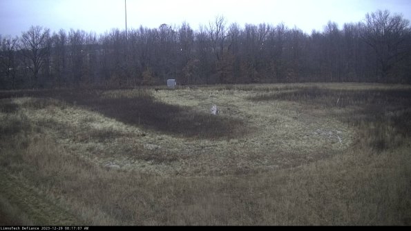 Cell 4_23-12-29_08-17-07-61