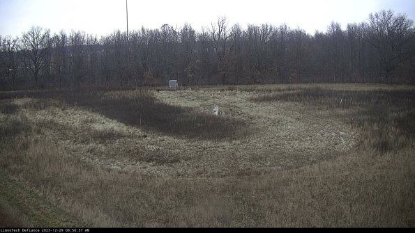 Cell 4_23-12-29_08-50-37-62