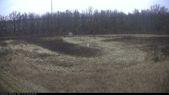 Cell 4_23-12-29_09-24-06-60