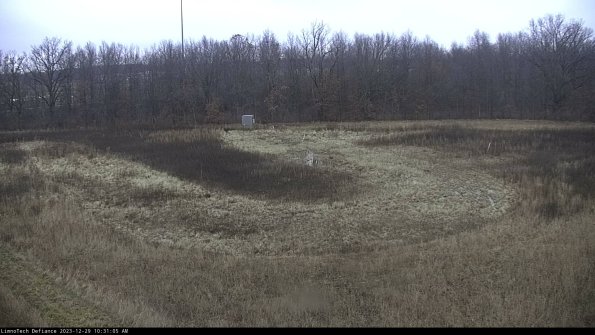 Cell 4_23-12-29_10-31-05-60