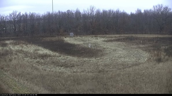 Cell 4_23-12-29_13-18-33-61