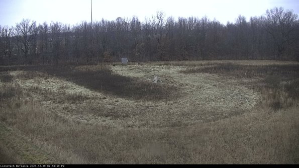 Cell 4_23-12-29_14-58-59-61