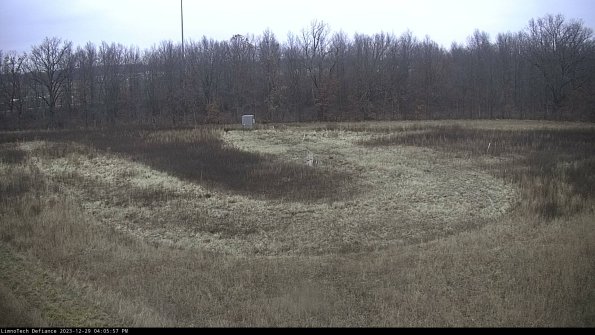 Cell 4_23-12-29_16-05-57-60