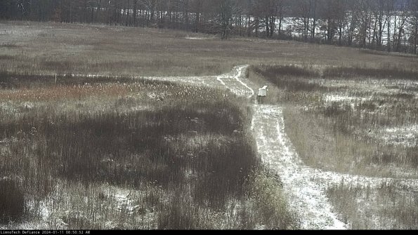 Cell 1 to 2_24-01-11_08-50-52-60