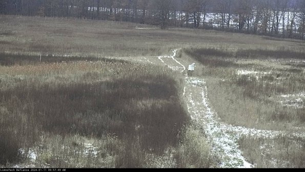 Cell 1 to 2_24-01-11_09-57-49-62