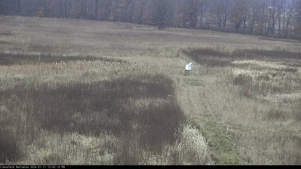 Cell 1 to 2_24-01-11_12-45-15-59