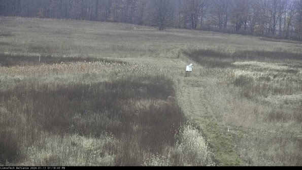 Cell 1 to 2_24-01-11_13-18-43-63