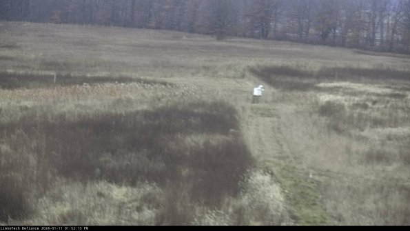 Cell 1 to 2_24-01-11_13-52-13-61