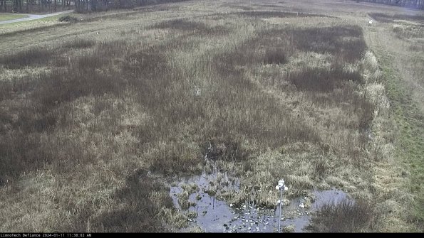 Cell 1_24-01-11_11-38-02-61