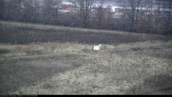 Cell 2 to 3_24-01-11_17-47-03-66