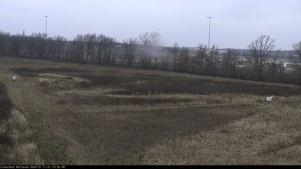 Cell 2_24-01-11_13-18-56-68