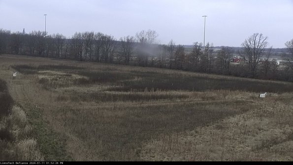 Cell 2_24-01-11_13-52-26-63