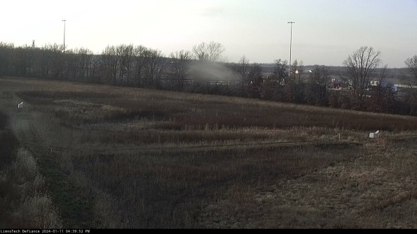 Cell 2_24-01-11_16-39-52-66