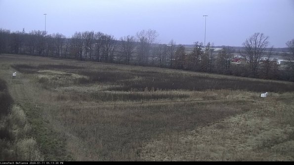 Cell 2_24-01-11_17-13-20-70