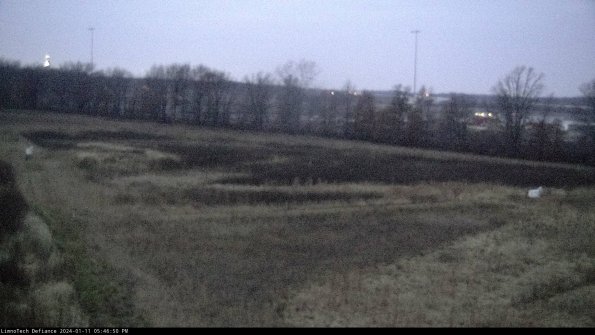 Cell 2_24-01-11_17-46-50-65