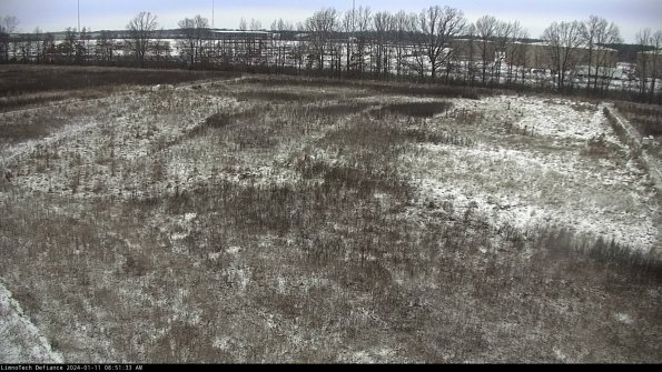 Cell 3_24-01-11_08-51-33-61