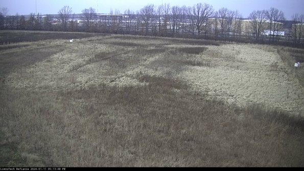 Cell 3_24-01-11_17-13-48-60