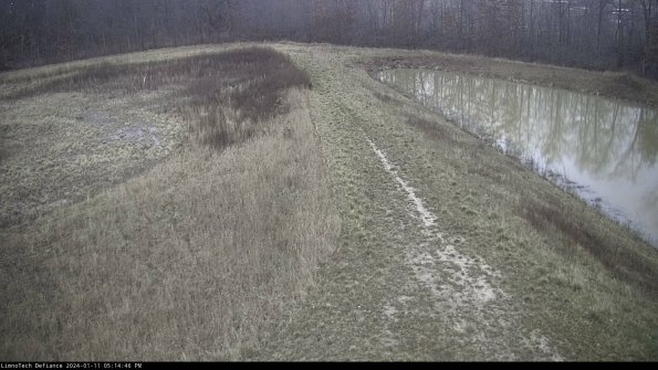 Cell 4 to Basin_24-01-11_17-14-46-62