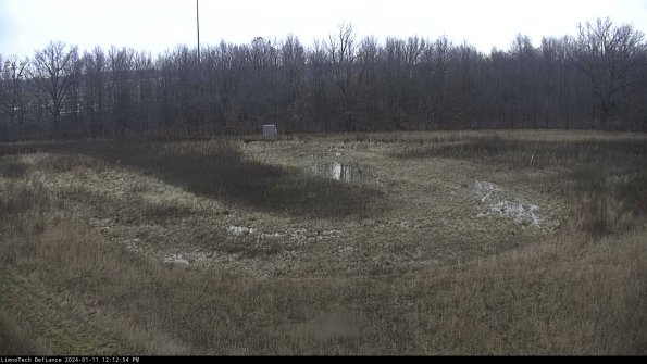 Cell 4_24-01-11_12-12-54-61