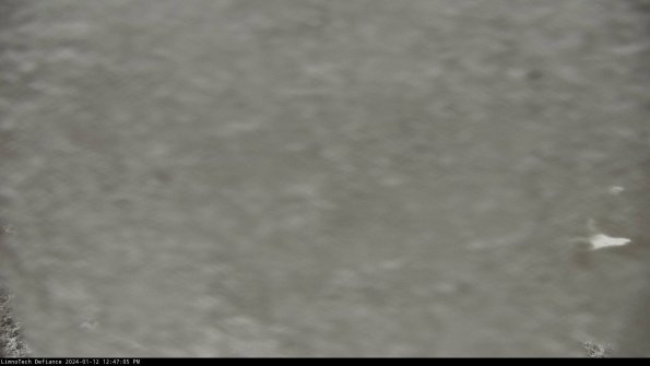 Basin_24-01-12_12-47-05-73