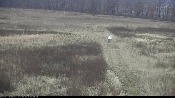 Cell 1 to 2_24-01-12_09-57-48-62