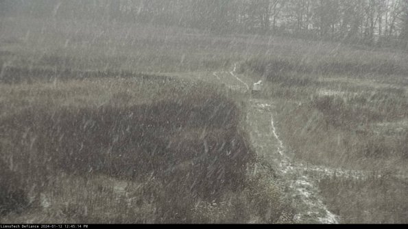 Cell 1 to 2_24-01-12_12-45-14-58