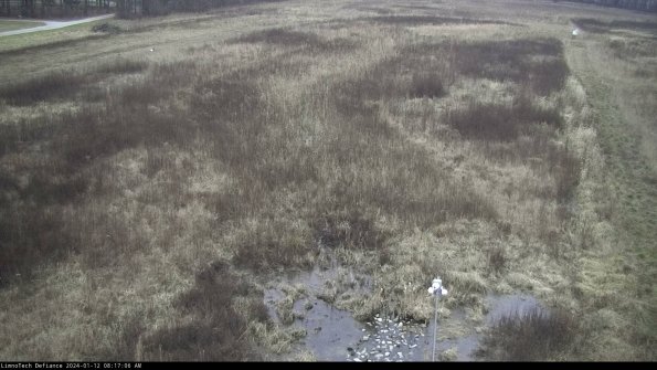 Cell 1_24-01-12_08-17-06-60