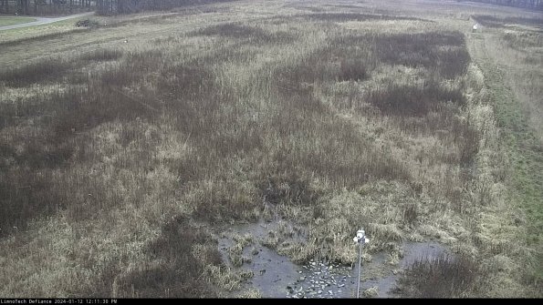 Cell 1_24-01-12_12-11-30-59