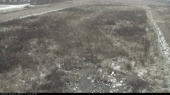 Cell 1_24-01-12_12-45-00-60