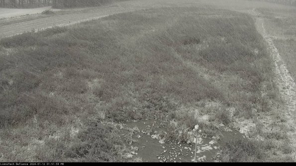 Cell 1_24-01-12_13-51-59-60