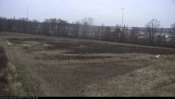 Cell 2_24-01-12_08-51-03-64