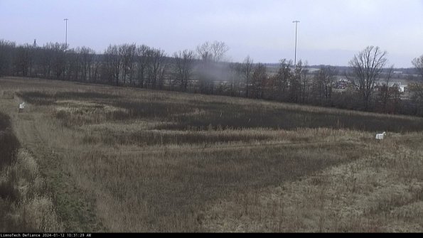 Cell 2_24-01-12_10-31-29-68