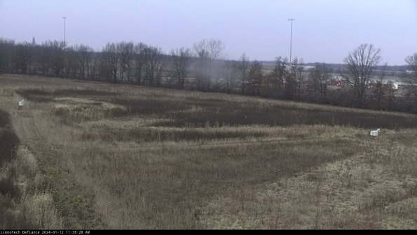 Cell 2_24-01-12_11-38-28-67