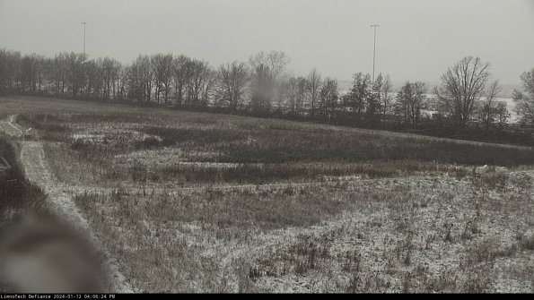 Cell 2_24-01-12_16-06-24-70