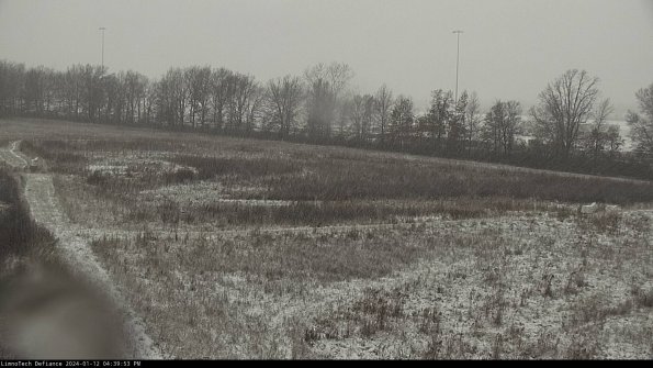 Cell 2_24-01-12_16-39-53-65