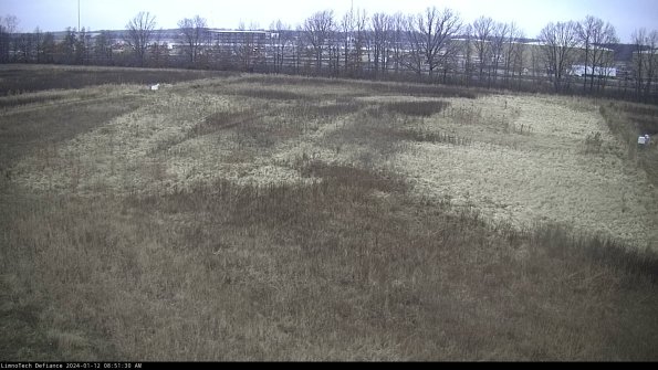 Cell 3_24-01-12_08-51-30-84