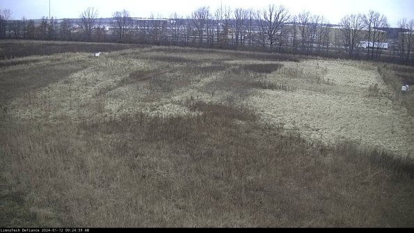 Cell 3_24-01-12_09-24-59-58