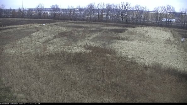 Cell 3_24-01-12_10-31-57-61