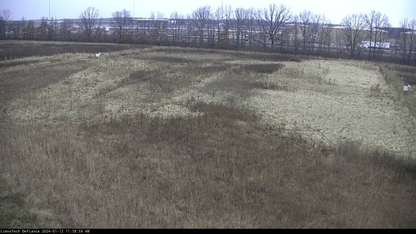 Cell 3_24-01-12_11-38-56-63