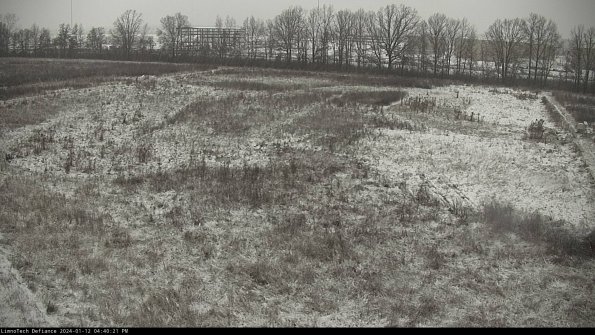 Cell 3_24-01-12_16-40-21-61