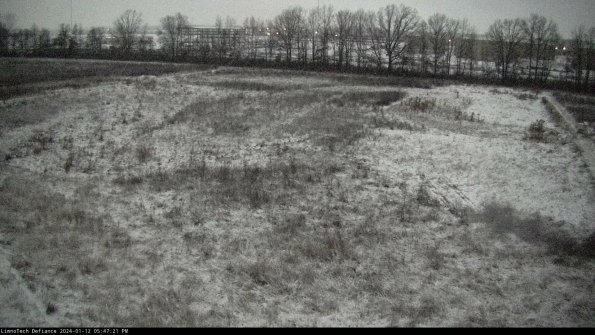 Cell 3_24-01-12_17-47-21-60