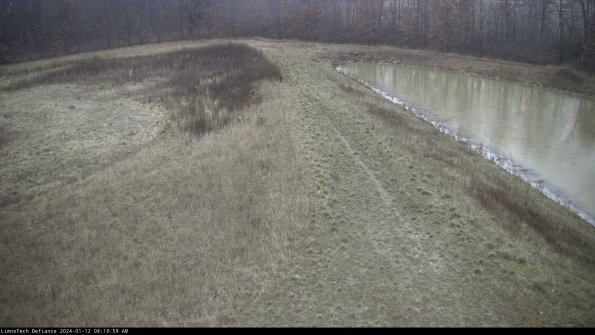 Cell 4 to Basin_24-01-12_08-18-59-62