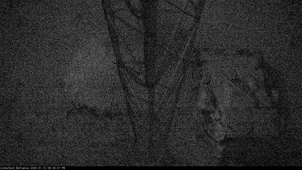 Hatch_24-01-12_20-36-57-63