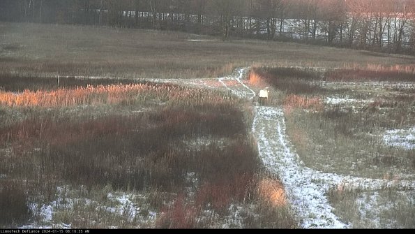 Cell 1 to 2_24-01-15_08-16-35-92