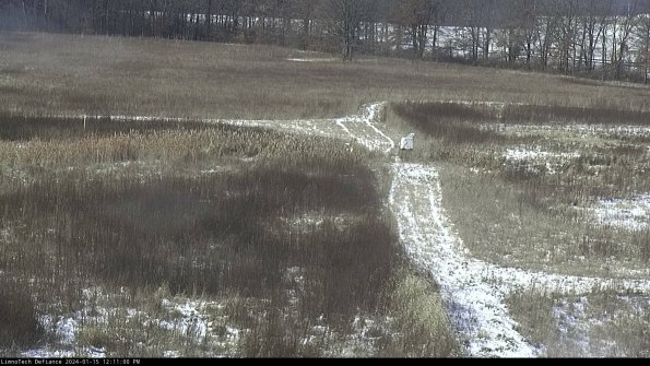 Cell 1 to 2_24-01-15_12-11-00-92