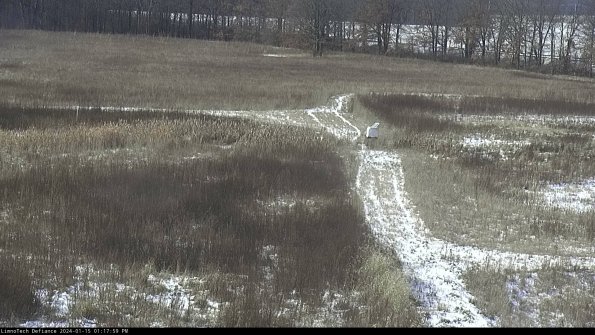 Cell 1 to 2_24-01-15_13-17-59-95