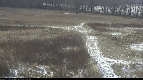 Cell 1 to 2_24-01-15_15-31-56-92